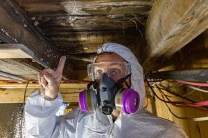 below house walkers_mold_inspections_remediation